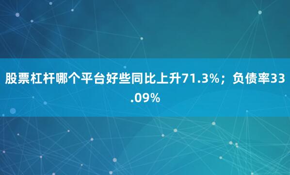 股票杠杆哪个平台好些同比上升71.3%；负债率33.09%