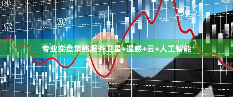 专业实盘策略服务卫星+遥感+云+人工智能